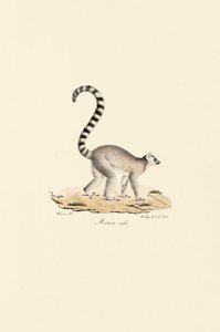  de Jacques Christophe Werner