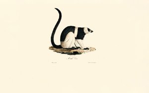  de Jacques Christophe Werner