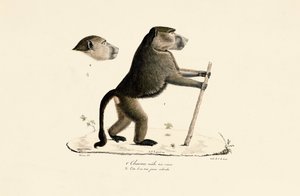  de Jacques Christophe Werner