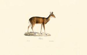  de Jacques Christophe Werner