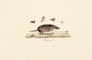  de Jacques Christophe Werner