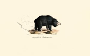  de Jacques Christophe Werner