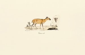  de Jacques Christophe Werner
