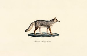  de Jacques Christophe Werner