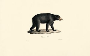  de Jacques Christophe Werner