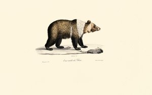  de Jacques Christophe Werner