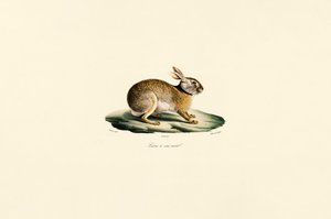 de Jacques Christophe Werner