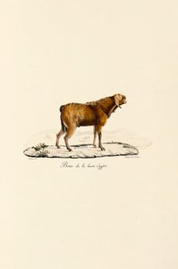  de Jacques Christophe Werner