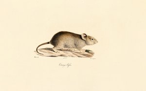  de Jacques Christophe Werner