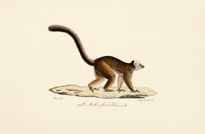  de Jacques Christophe Werner