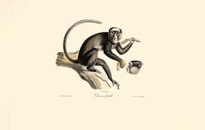  de Jacques Christophe Werner
