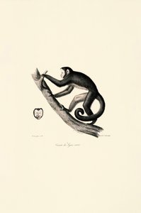  de Jacques Christophe Werner