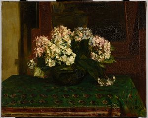 Hortensias (clima cálido) de Jacques Emile Blanche