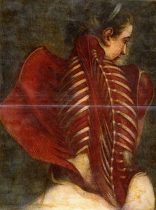 El ángel desollado, c.1745 de Jacques Fabien Gautier dAgoty