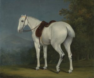 El cazador gris de una dama de Jacques Laurent Agasse