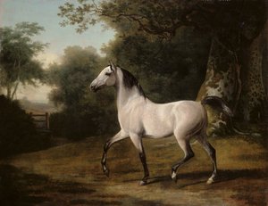 Un semental árabe gris en un paisaje boscoso de Jacques Laurent Agasse