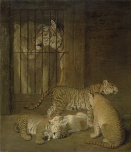 Grupo de cachorros criados entre un león y una tigresa de Jacques Laurent Agasse