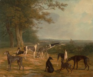 Nueve galgos en un paisaje