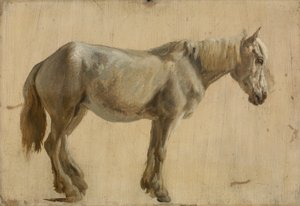 Estudio de un Caballo Gris de Jacques Laurent Agasse