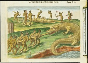 Cazando cocodrilos, de 