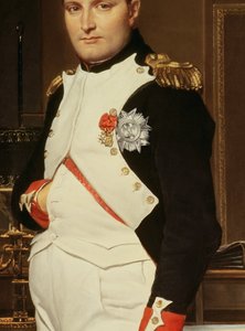 Detalle de El emperador Napoleón en su estudio de las Tullerías de Jacques Louis David
