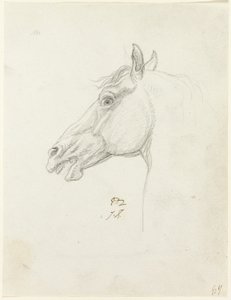 Cabeza de Caballo de Jacques Louis David