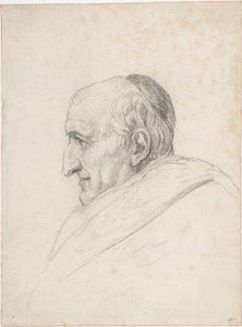 El cardenal Pacca de Jacques Louis David