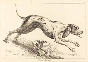 Perro corriendo