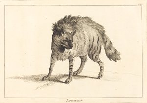 Loucervier (Hiena) de Jacques Philippe Le Bas and Jean Eric Rehn after Jean Baptiste Oudry
