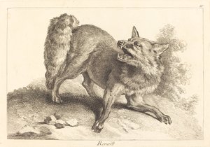 Zorro de Jacques Philippe Le Bas and Jean Eric Rehn after Jean Baptiste Oudry
