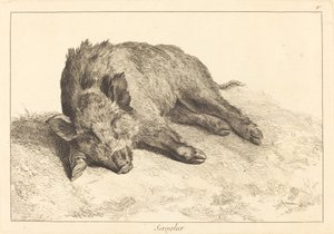 Sanglier (Jabalí acostado, cabeza a la izquierda)