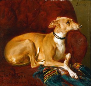 Un galgo descansando en una silla de Jacques Raymond Brascassat