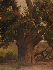 Le Vieux chêne (estudio) de Jacques Raymond Brascassat