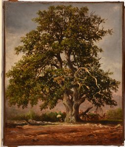 Le Vieux chêne de Jacques Raymond Brascassat