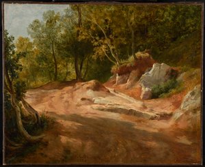 Rocas en el bosque de Jacques Raymond Brascassat