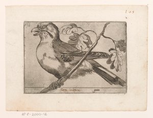 Gaai Gaio (título sobre objeto) Vogels (título de la serie)