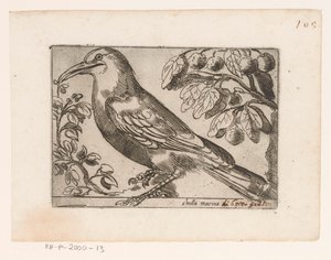 Vogel Chuta marina (título sobre objeto) Vogels (título de la serie) de Jacques de Fornazeris (possibly)