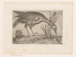 Vogel Tartena (título sobre objeto) Vogels (título de la serie) de Jacques de Fornazeris (possibly)