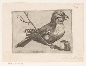 Arrendajo (Garrulus glandarius) Giandara (título sobre objeto) Pájaros (título de la serie)