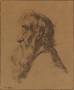 Cabeza de anciano de Jacques de Gheyn III