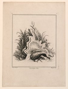Escudo, de "Recueil Nouveau de Differens Cartouche"