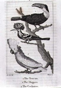 El Tucán, La Abubilla y El Cacatúa, de 