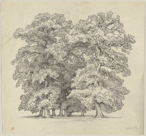  de Jakob Becker