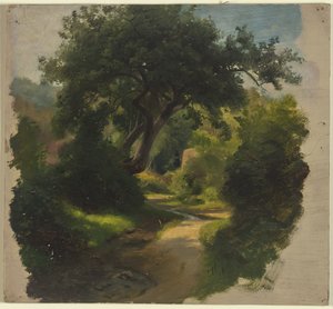Sendero en el bosque de Jakob Becker