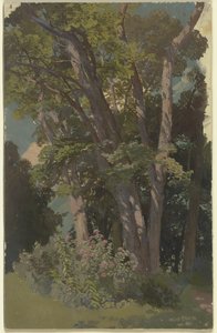 Estudio de parque, claro de Jakob Becker