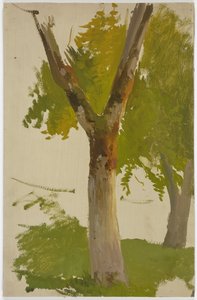 Baum de Jakob Becker