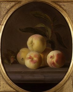 Bodegón de frutas con una mosca