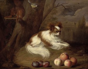 Imagen desconocida de Jakob Bogdani or Bogdany
