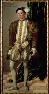 Archiduque Fernando del Tirol, hijo del emperador Fernando I ... (pintura sobre lienzo) de Jakob Seisenegger