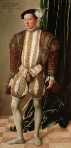 Fernando II de Tirol (de Habsburgo), archiduque de Austria - Retrato de Fernando II (1529-1595), Archiduque de Austria de Jakob Seisenegger